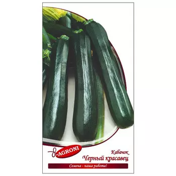 семена кабачок Черный красавец АГРОНИ 2г