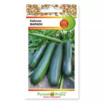семена кабачок фараон 2 г