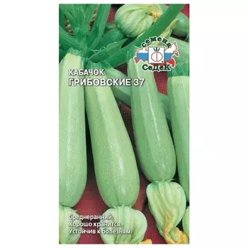 семена Кабачок Грибовские 2г