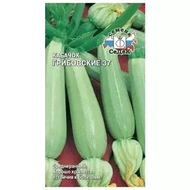 семена Кабачок Грибовские 2г