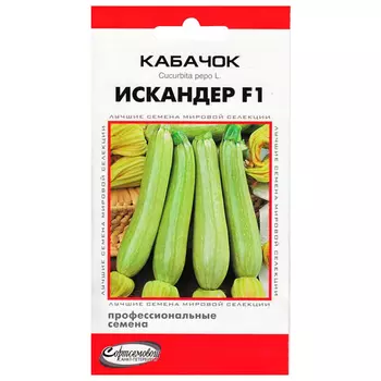 семена кабачок Искандер ДОМ СЕМЯН F1 1г