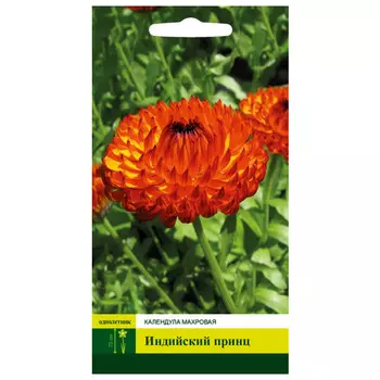 семена Календула Индийский принц махровая СЕВЕРНЫЙ ОГОРОД 0,3г