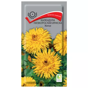 семена Календула Ириска жёлтая ПОИСК 10шт низкорослая