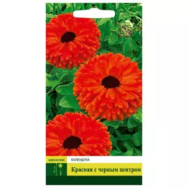 семена Календула Красная с черным 0,3г