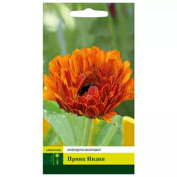 семена Календула Принц Индии махровая СЕВЕРНЫЙ ОГОРОД 0,3г