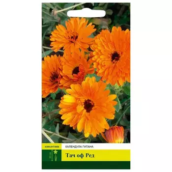 семена Календула Тач оф Ред СЕВЕРНЫЙ ОГОРОД 0,3г