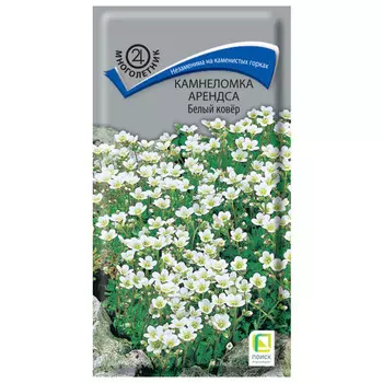 семена Камнеломка арендса Белый Ковер ПОИСК 0,01г