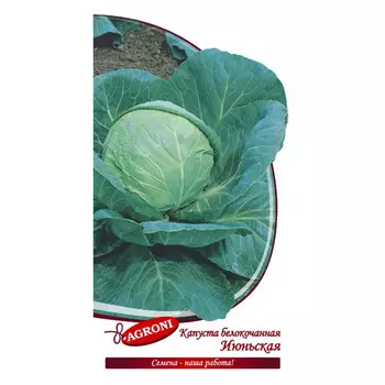 семена капуста белокочанная Июньская АГРОНИ 0,5г
