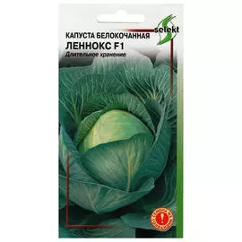 семена Капуста б/к Леннокс F1 12шт