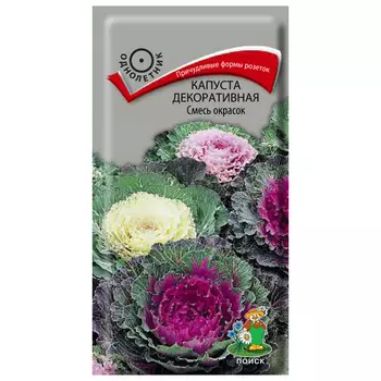 семена Капуста декоративная смесь окрасок ПОИСК 0,25г