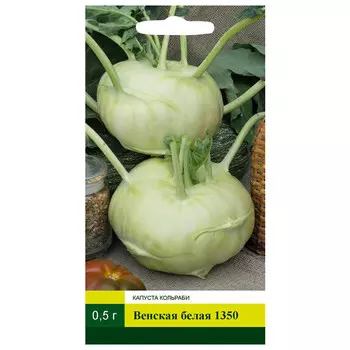 семена Капуста кольраби Венская белая 1350 0,5г