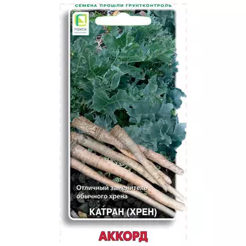 семена катран (хрен) Аккорд ПОИСК