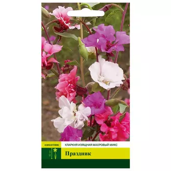 семена Кларкия Праздник махровый микс изящная СЕВЕРНЫЙ ОГОРОД 0,2г