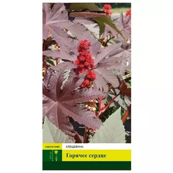 семена Клещевина Горячее сердце СЕВЕРНЫЙ ОГОРОД 4шт