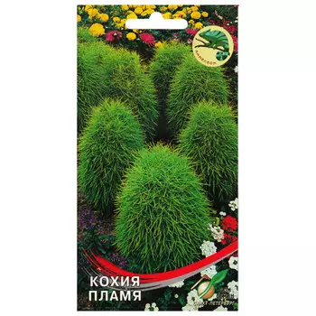 семена Кохия Пламя ДОМ СЕМЯН 0,12г