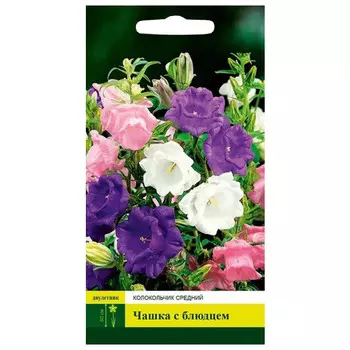 семена Колокольчик Чашка с блюдцем средний 0,1 г