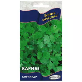 семена Кориандр Карибе 90шт