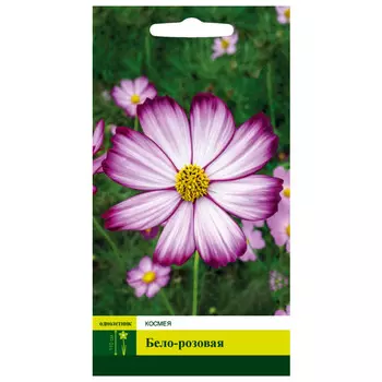 семена Космея бело-розовая СЕВЕРНЫЙ ОГОРОД 0,3г