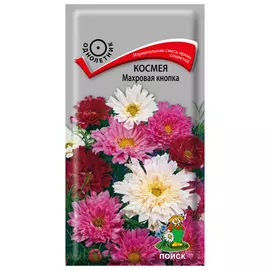 семена Космея Кнопка 0,1г махровая