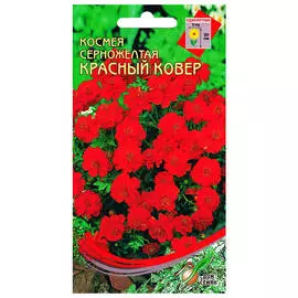 семена Космея Красный ковер 30шт серножелтая