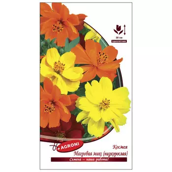 семена Космея махровая низкорослая Карпет микс АГРОНИ 0,3г
