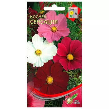 семена Космея Сенсация ДОМ СЕМЯН 0,43г