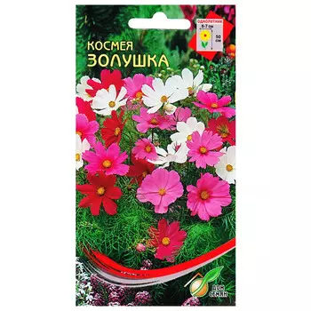 семена Космея Золушка ДОМ СЕМЯН 0,43г