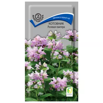 семена Котовник Розовая пантера ПОИСК 10шт