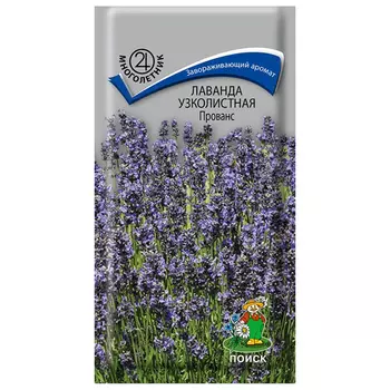 семена Лаванда узколистная Прованс ПОИСК 0,1г