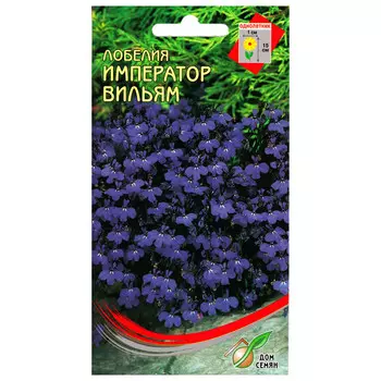 семена Лобелия Император Вильям ДОМ СЕМЯН 0,07г