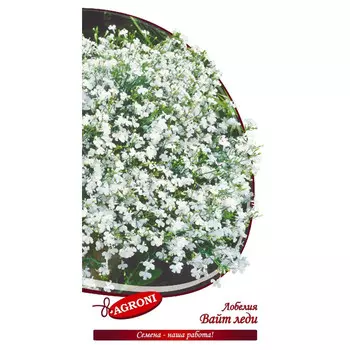 семена Лобелия Вайт леди АГРОНИ 0,1г