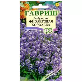 семена Лобулярия Фиолетовая Королева 0,2г