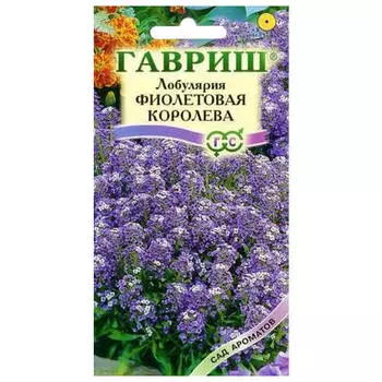 семена Лобулярия Фиолетовая Королева 0,2г