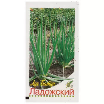 семена Лук батун Ладожский 235шт