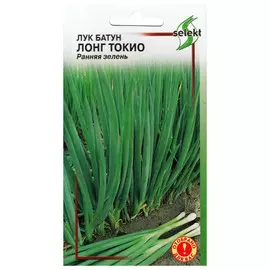 семена Лук батун Лонг Токио 80шт