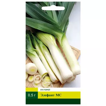 семена Лук порей Элефант МС СЕВЕРНЫЙ ОГОРОД 0,5г