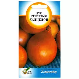 семена Лук репчатый Халцедон 130шт