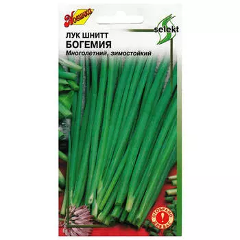 семена лук шнитт Богемия ДОМ СЕМЯН 0,4г