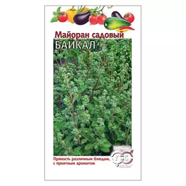 семена Майоран садовый Байкал 0,1г