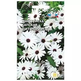 семена Маргаритка Дитя природы