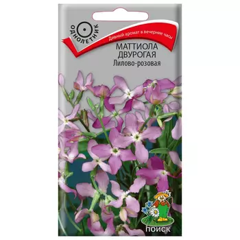 семена Маттиола двурогая Лилово-розовая ПОИСК 0,3г