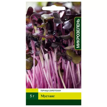 семена Микрозелень Горчица Мустанг сарептская СЕВЕРНЫЙ ОГОРОД 5г