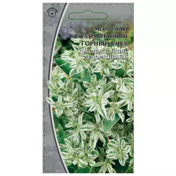 семена Молочай окаймленный Горный снег 0,5г
