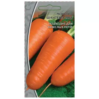 семена Морковь Шантенэ 2461 10г