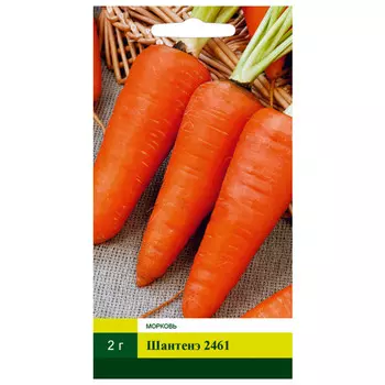 семена Морковь Шантенэ 2461 СЕВЕРНЫЙ ОГОРОД 2г