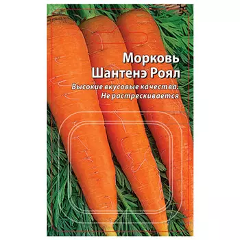 семена Морковь Шантенэ Роял 2г