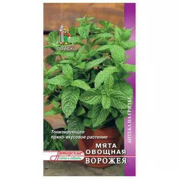 семена Мята Ворожея ПОИСК 0,1г