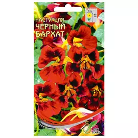 семена Настурция Чёрный бархат 9шт