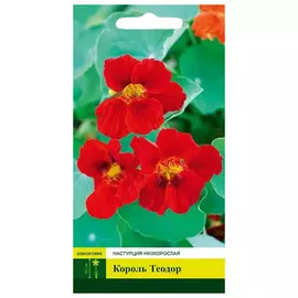 семена Настурция Король Теодор низкорослая 1г