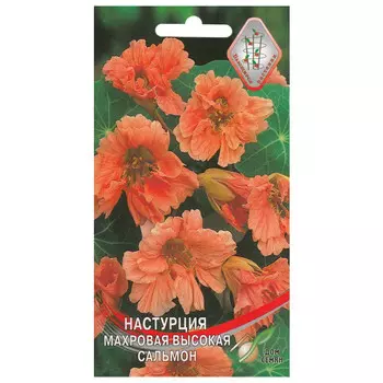 семена Настурция махровая Сальмон 10шт